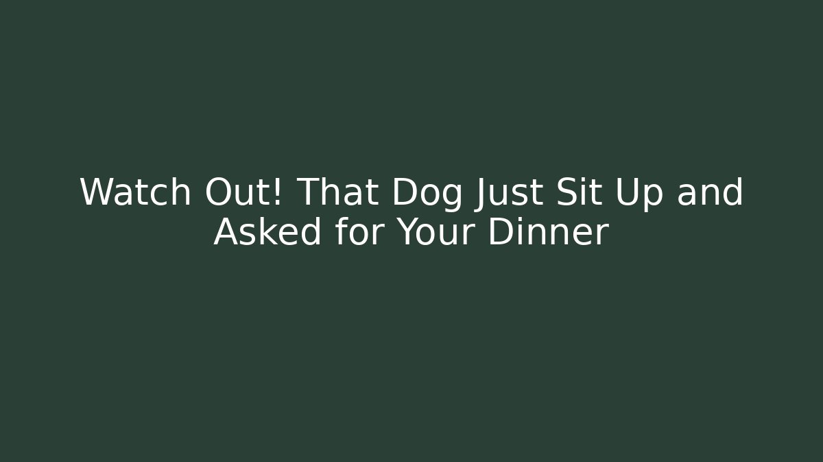Watch Out! That Dog Just Sit Up and Asked for Your Dinner