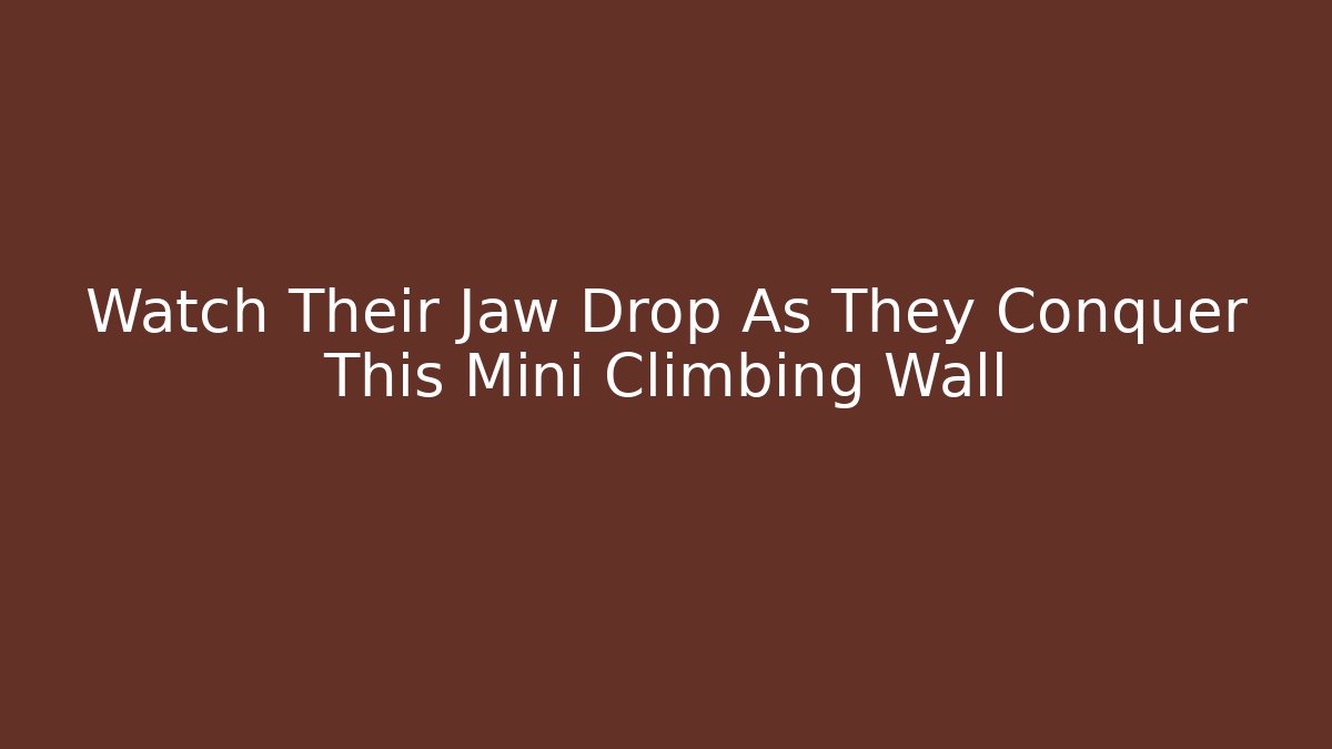 Watch Their Jaw Drop As They Conquer This Mini Climbing Wall