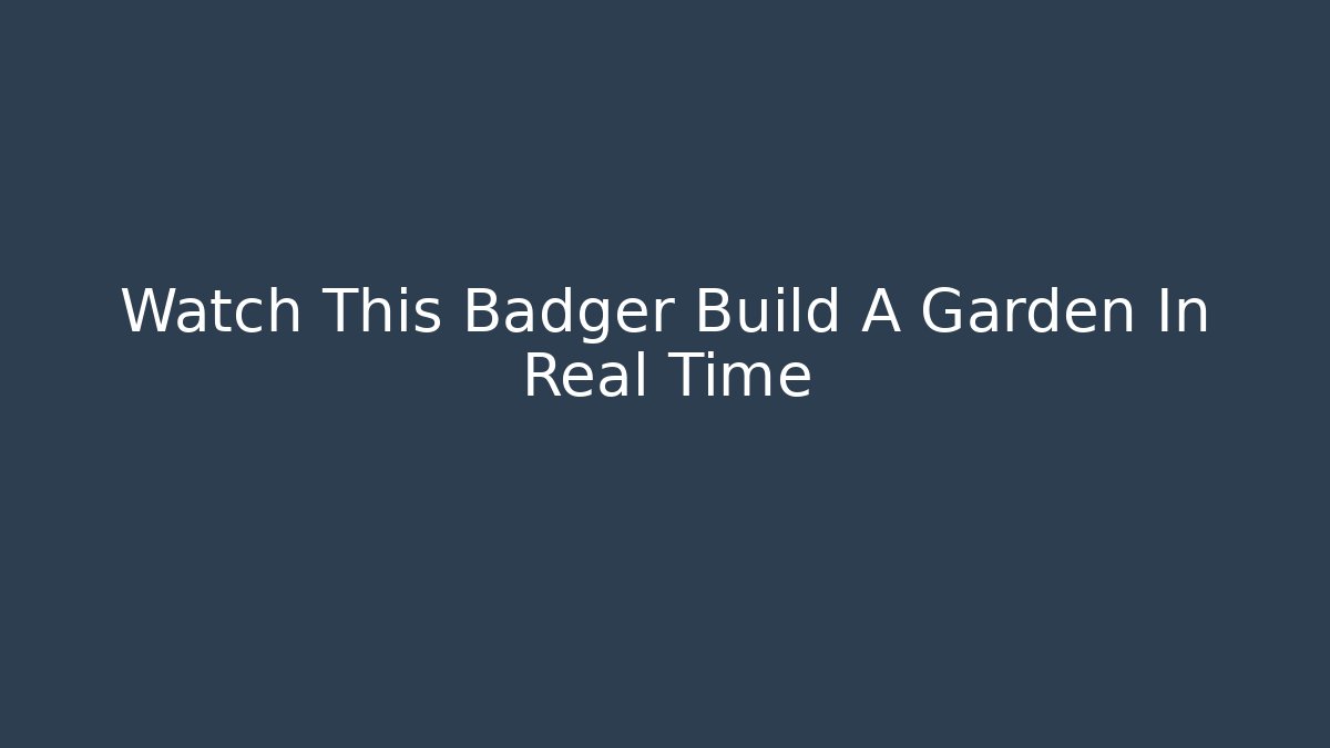 Watch This Badger Build A Garden In Real Time