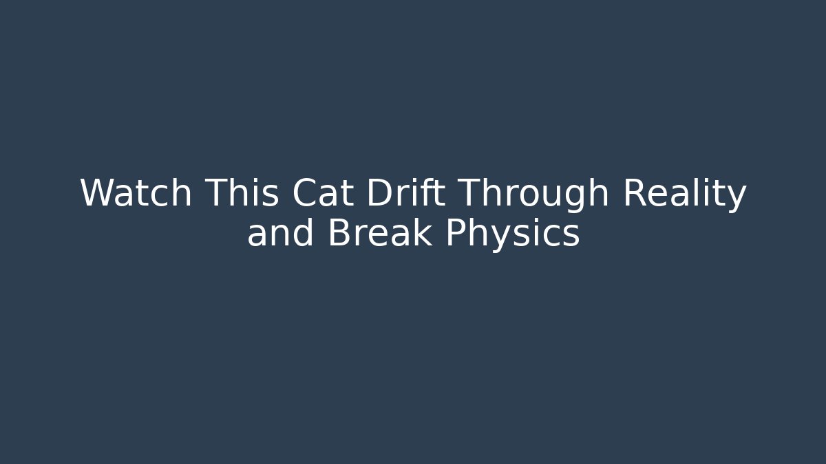 Watch This Cat Drift Through Reality and Break Physics