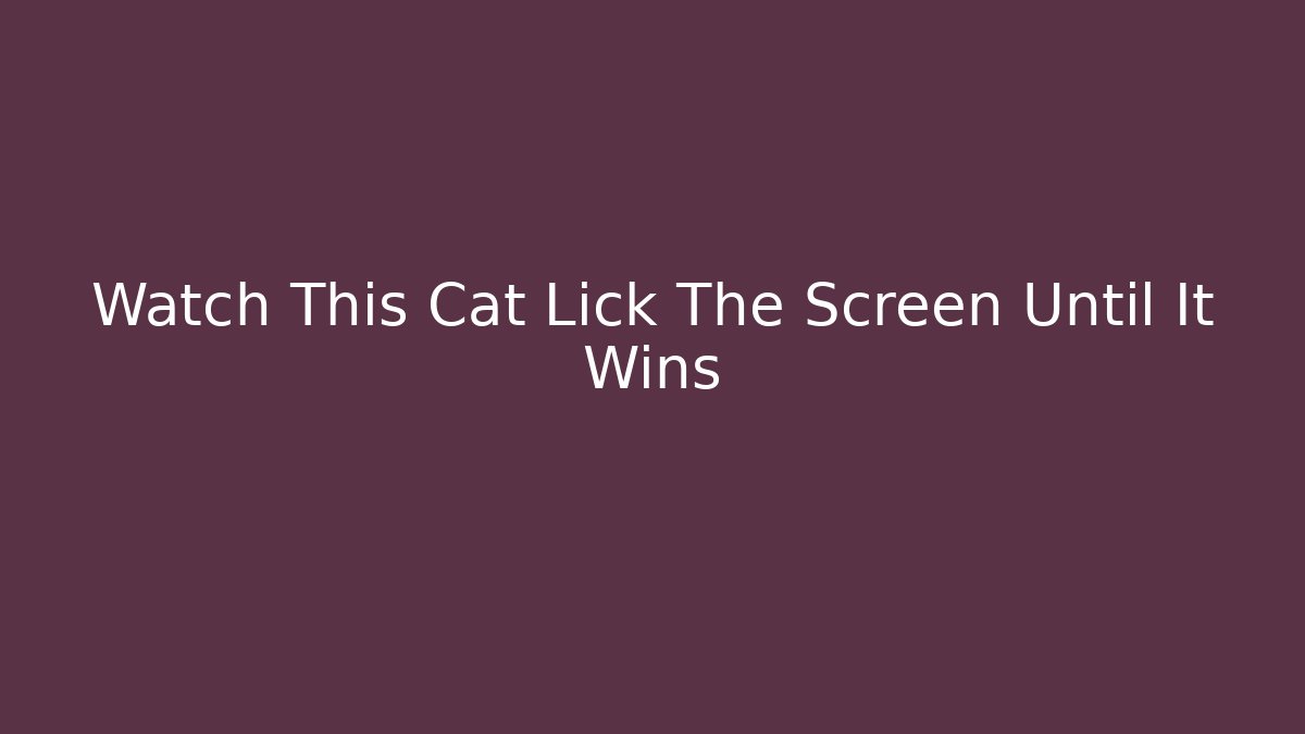 Watch This Cat Lick The Screen Until It Wins