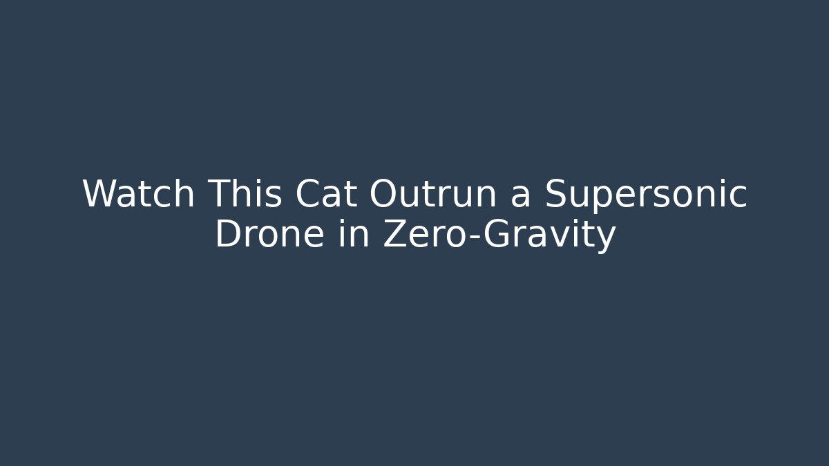 Watch This Cat Outrun a Supersonic Drone in Zero-Gravity - Método de Aprovação