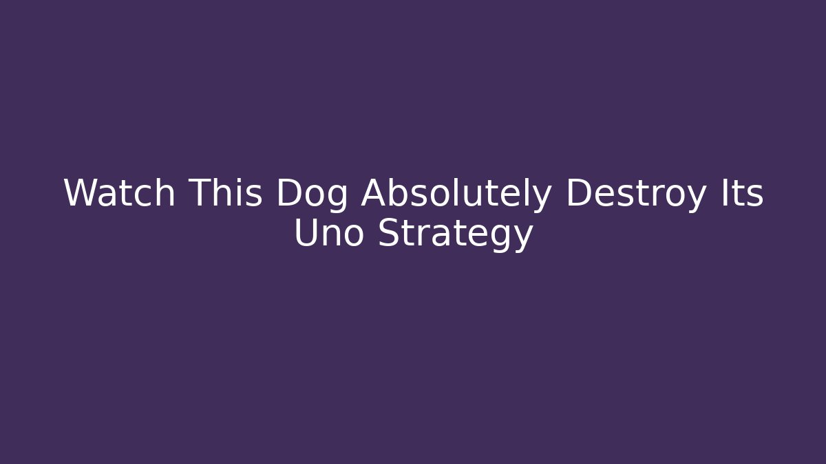 Watch This Dog Absolutely Destroy Its Uno Strategy
