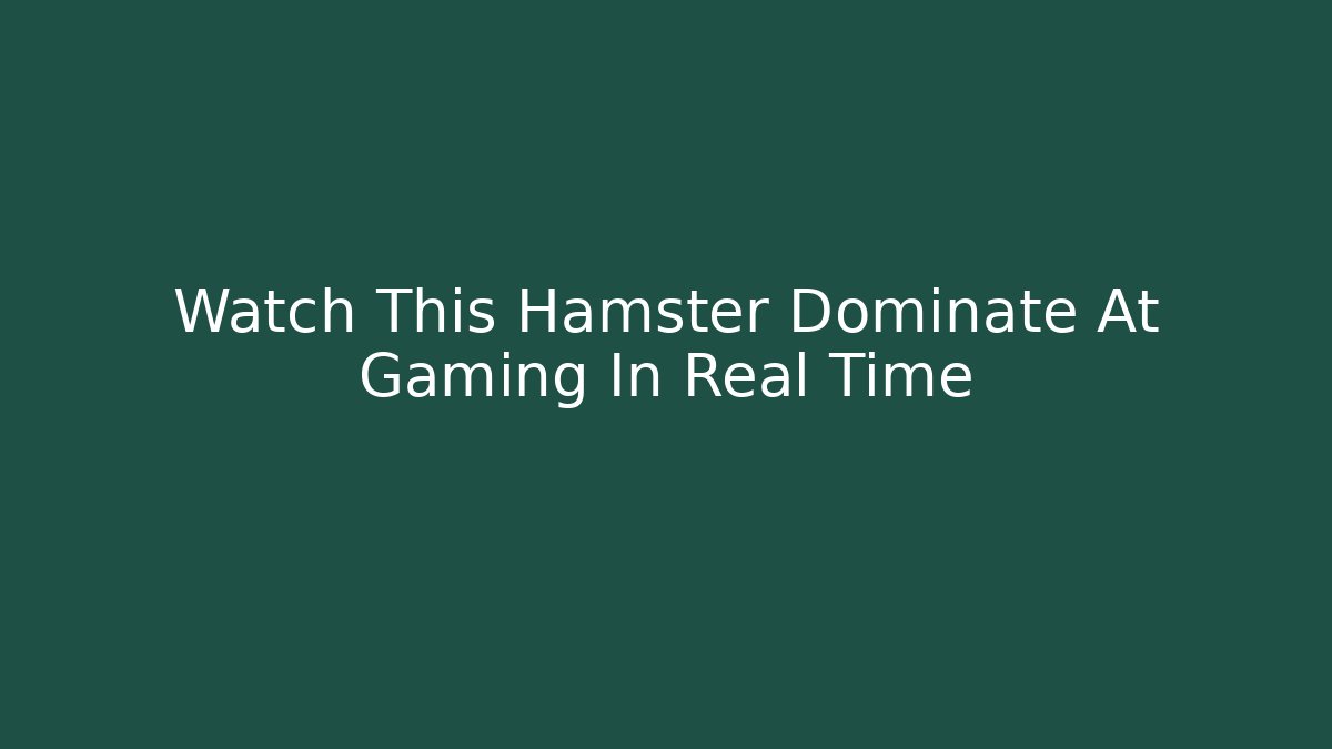 Watch This Hamster Dominate At Gaming In Real Time