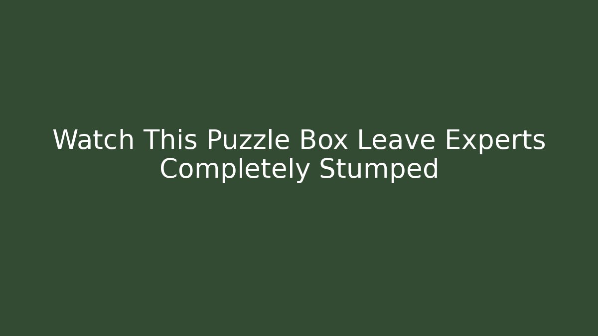 Watch This Puzzle Box Leave Experts Completely Stumped