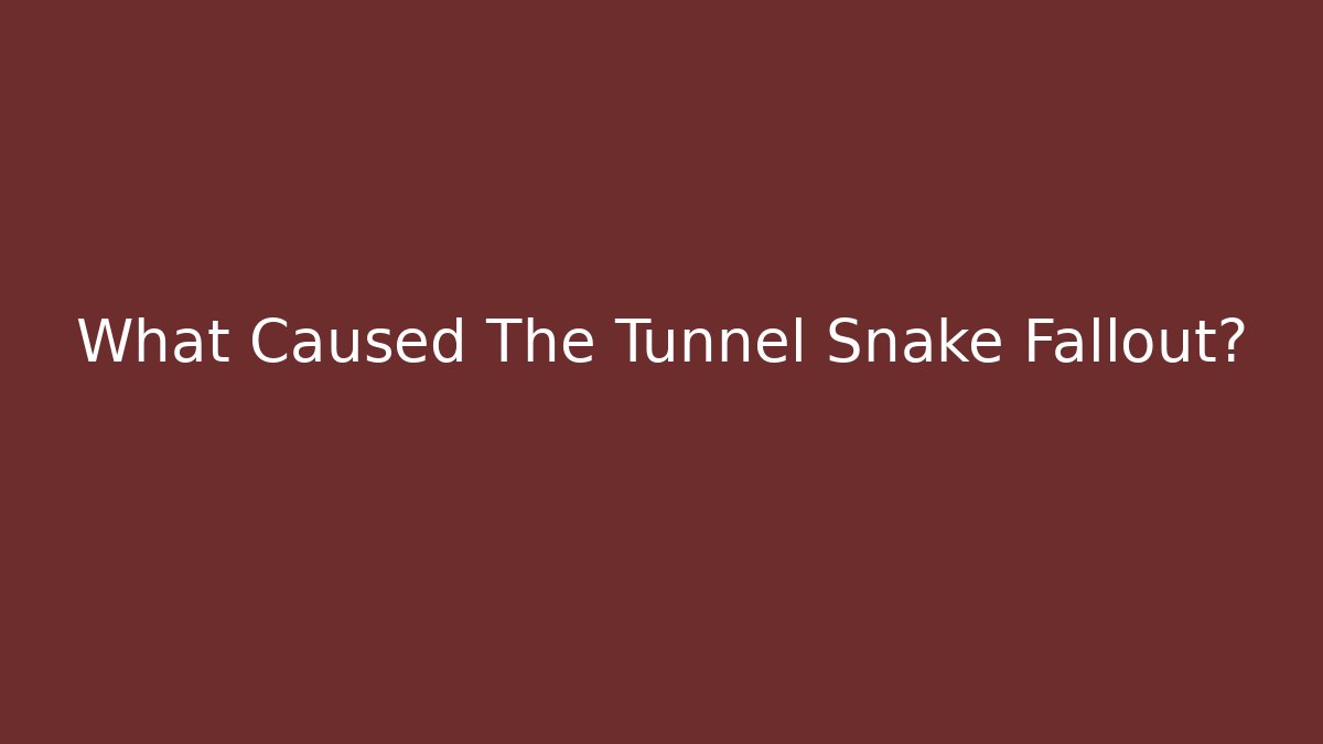 What Caused The Tunnel Snake Fallout?