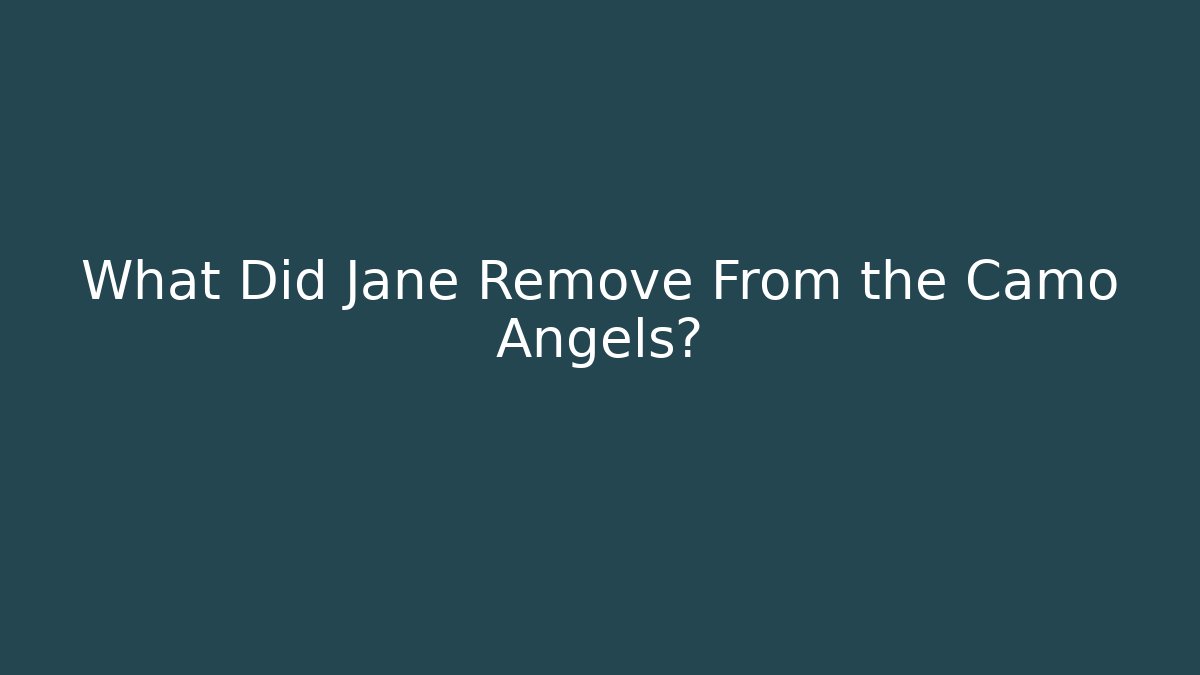 What Did Jane Remove From the Camo Angels?
