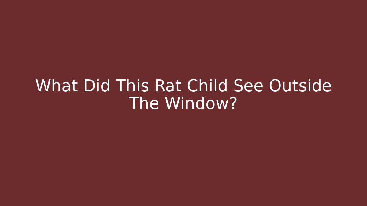 What Did This Rat Child See Outside The Window?