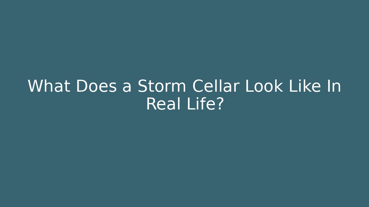 What Does a Storm Cellar Look Like In Real Life?