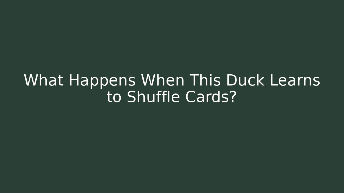What Happens When This Duck Learns to Shuffle Cards?