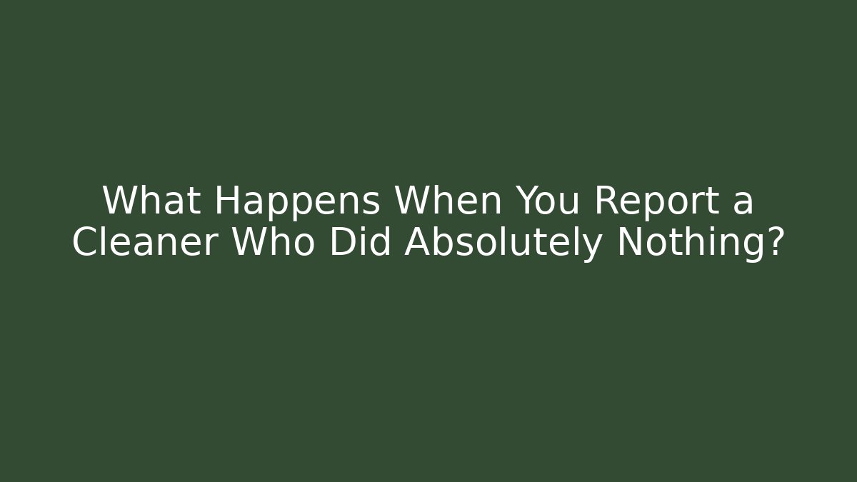 What Happens When You Report a Cleaner Who Did Absolutely Nothing?