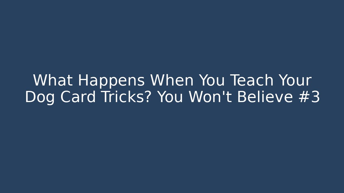 What Happens When You Teach Your Dog Card Tricks? You Won't Believe #3