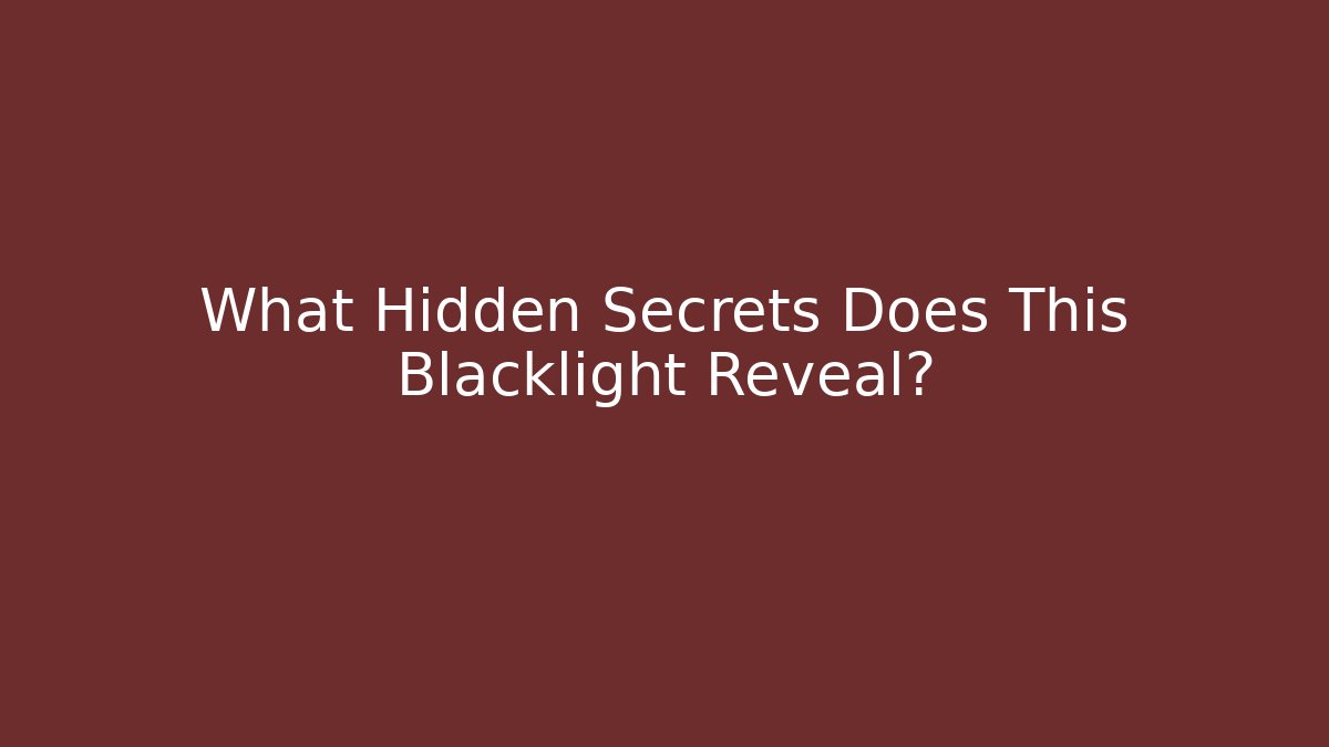 What Hidden Secrets Does This Blacklight Reveal?