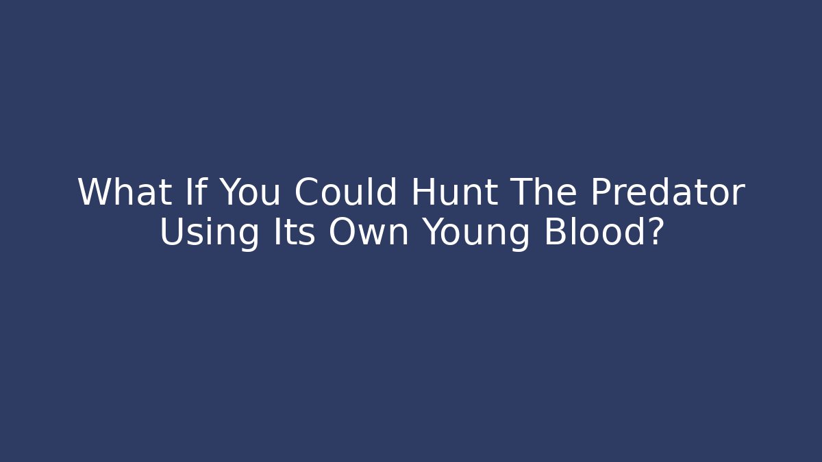 What If You Could Hunt The Predator Using Its Own Young Blood?