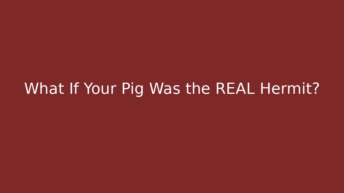 What If Your Pig Was the REAL Hermit?