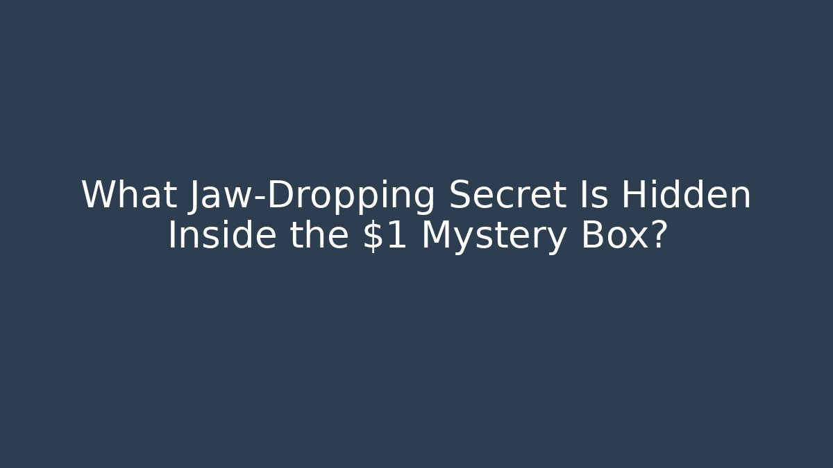 What Jaw-Dropping Secret Is Hidden Inside the $1 Mystery Box?