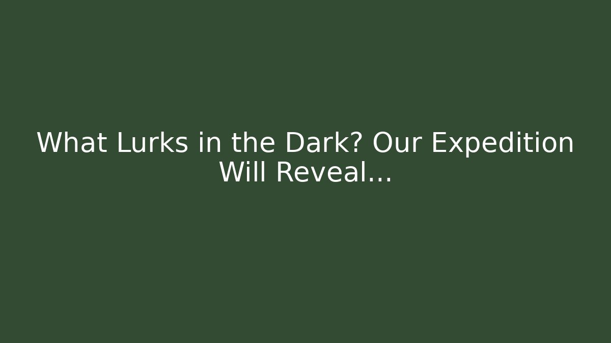 What Lurks in the Dark? Our Expedition Will Reveal...