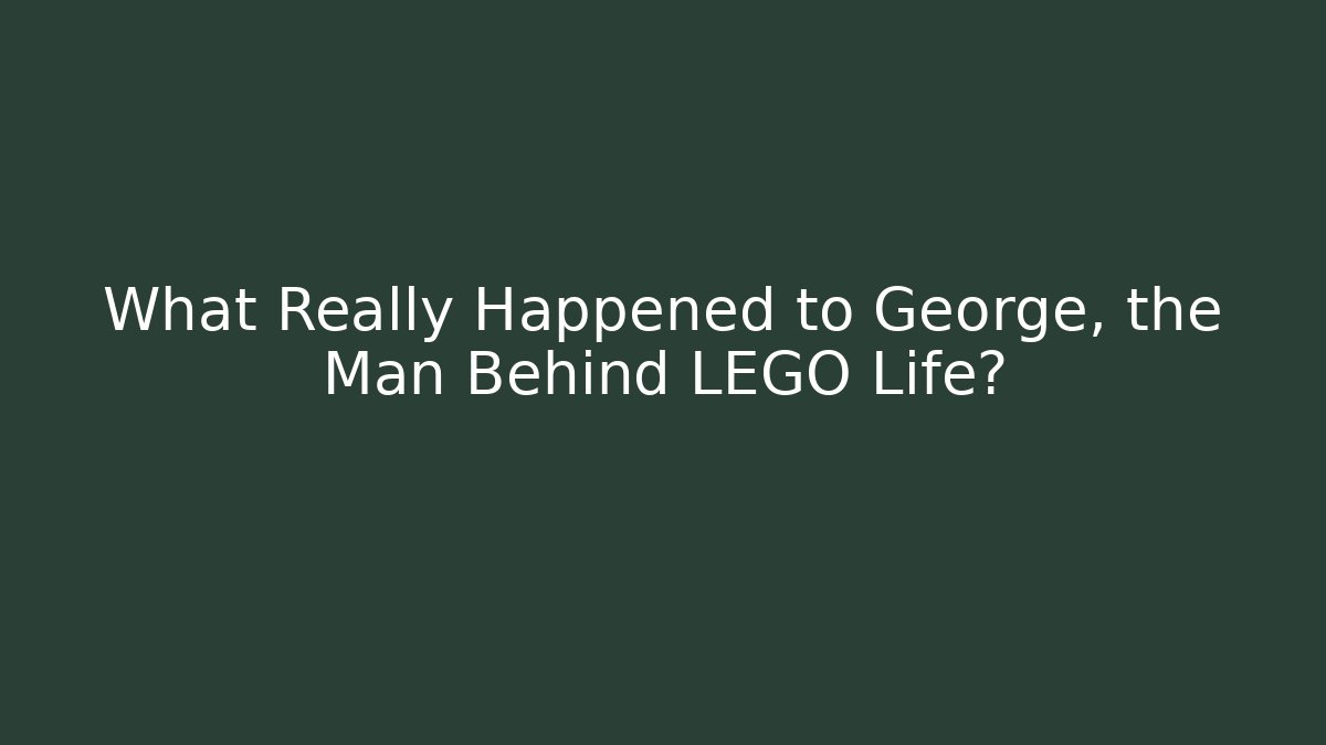 What Really Happened to George, the Man Behind LEGO Life?