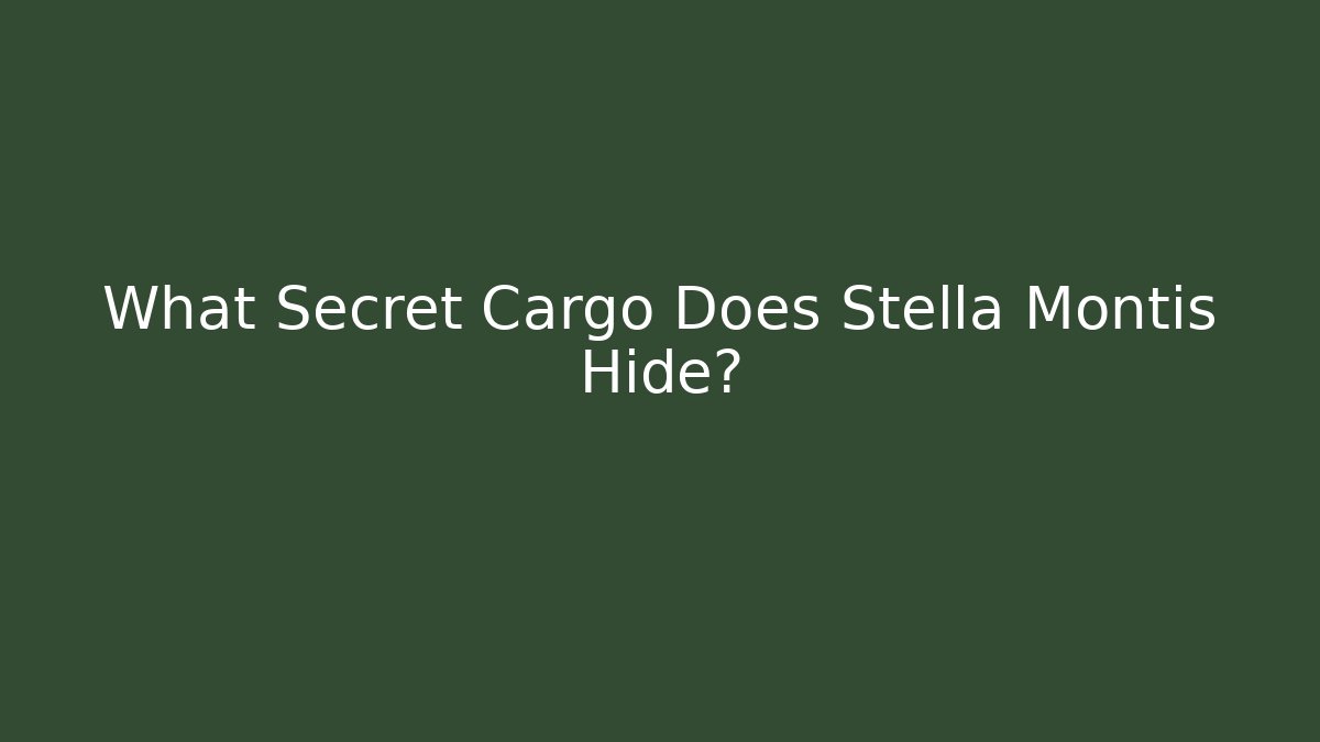 What Secret Cargo Does Stella Montis Hide?