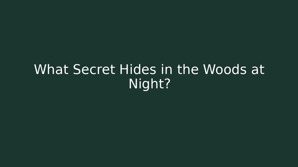 What Secret Hides in the Woods at Night?