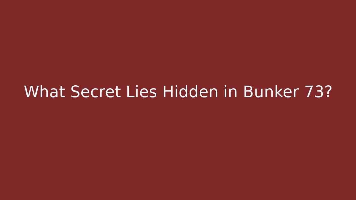 What Secret Lies Hidden in Bunker 73?