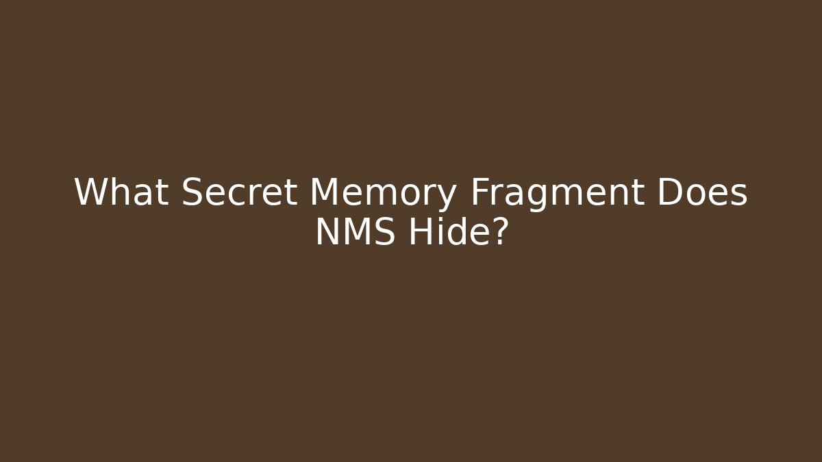 What Secret Memory Fragment Does NMS Hide?