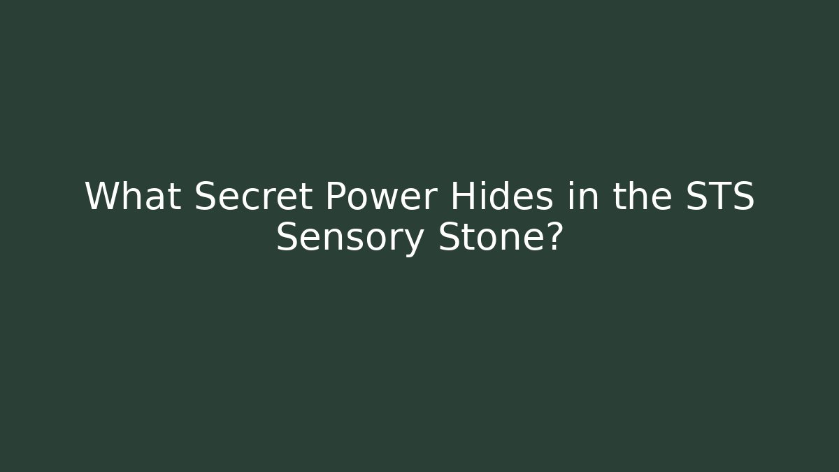 What Secret Power Hides in the STS Sensory Stone?