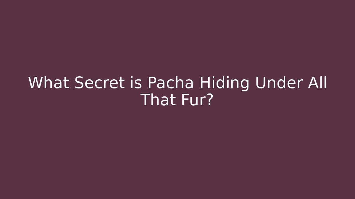 What Secret is Pacha Hiding Under All That Fur?