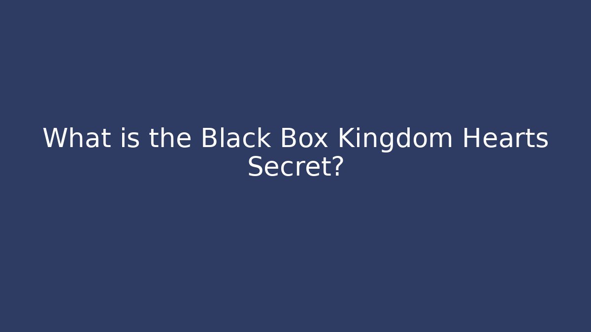 What is the Black Box Kingdom Hearts Secret?