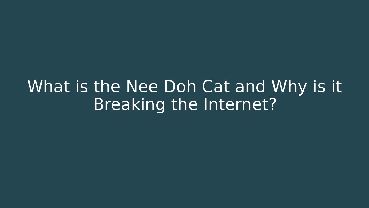 What is the Nee Doh Cat and Why is it Breaking the Internet?