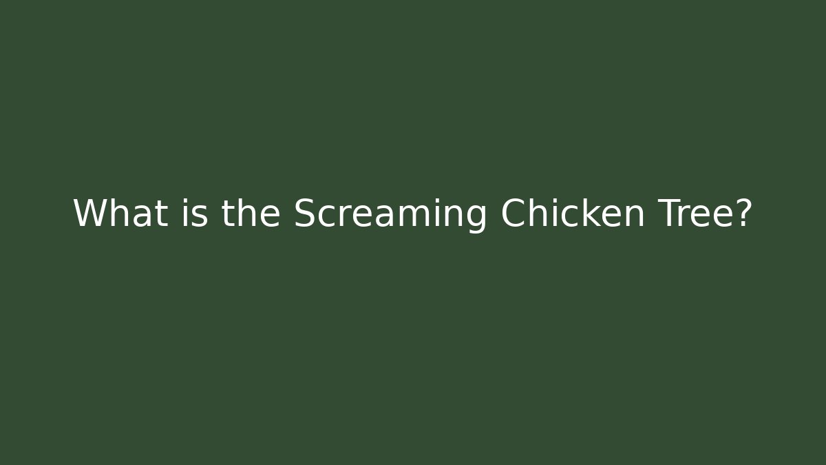 What is the Screaming Chicken Tree?