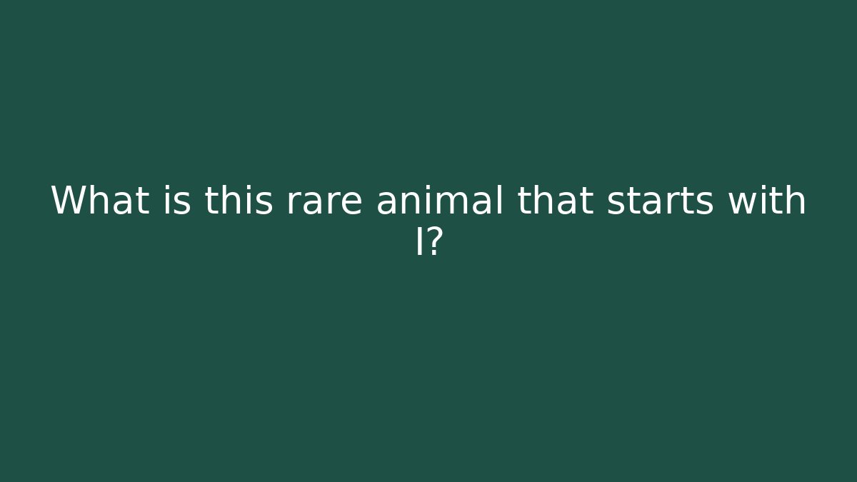 What is this rare animal that starts with I?