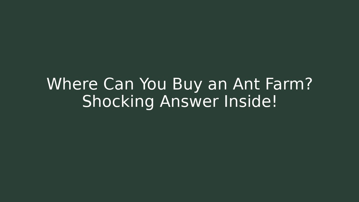 Where Can You Buy an Ant Farm? Shocking Answer Inside! - Método de Aprovação