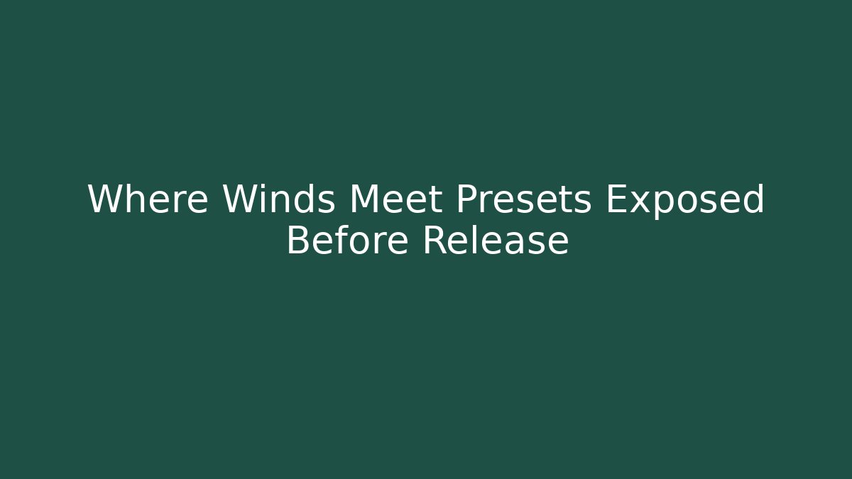 Where Winds Meet Presets Exposed Before Release