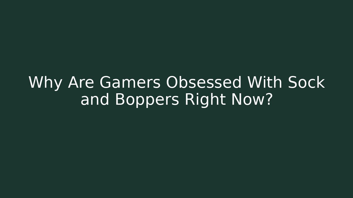 Why Are Gamers Obsessed With Sock and Boppers Right Now?