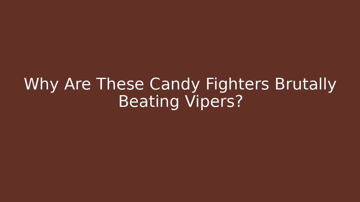 Why Are These Candy Fighters Brutally Beating Vipers?
