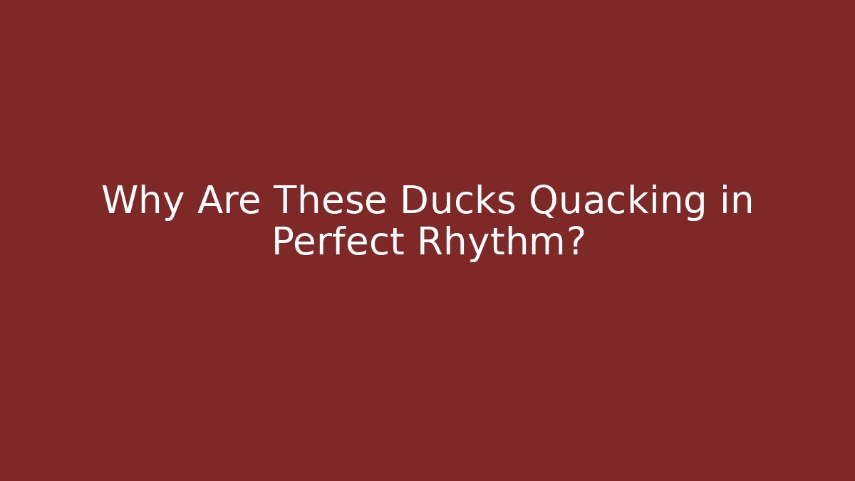 Why Are These Ducks Quacking in Perfect Rhythm?