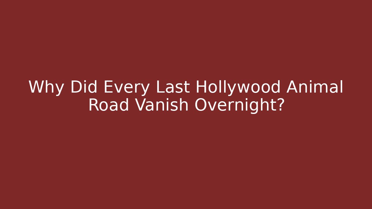 Why Did Every Last Hollywood Animal Road Vanish Overnight?