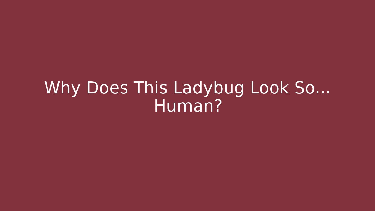 Why Does This Ladybug Look So… Human? - Método de Aprovação