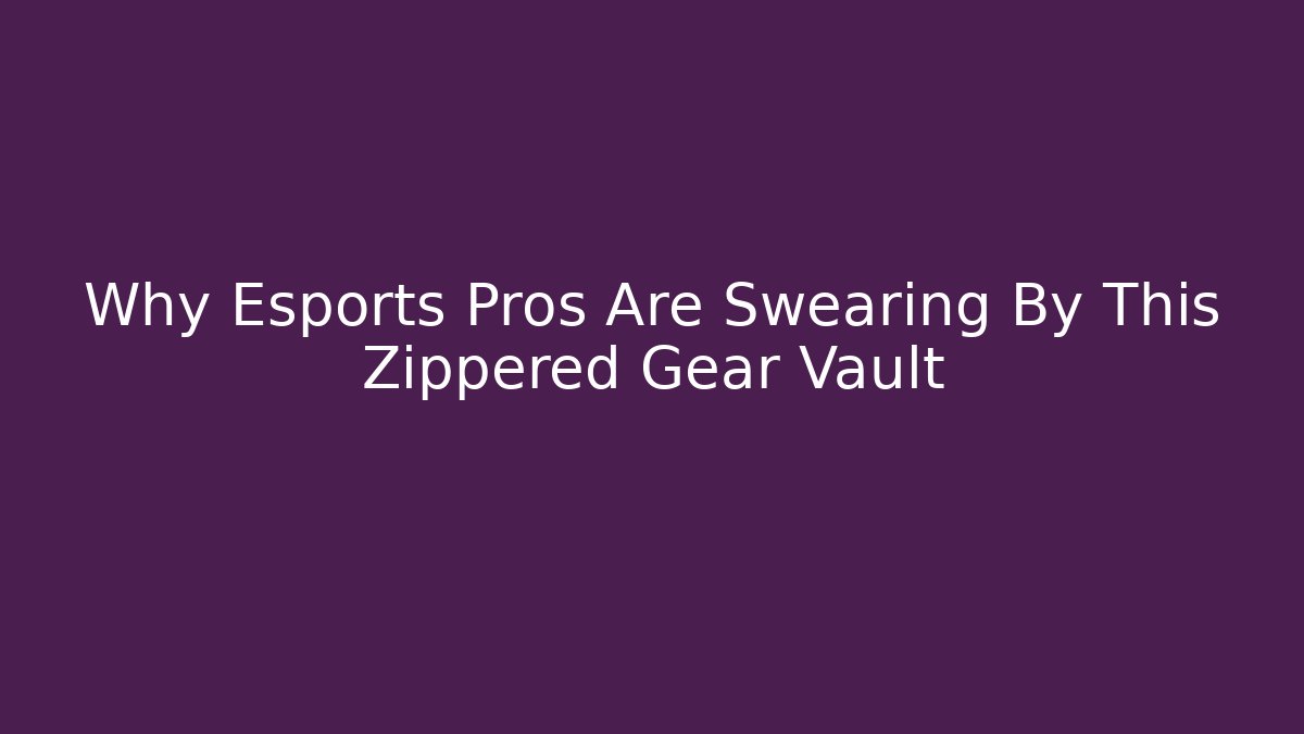 Why Esports Pros Are Swearing By This Zippered Gear Vault
