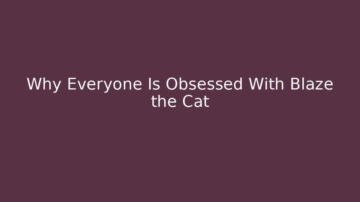 Why Everyone Is Obsessed With Blaze the Cat