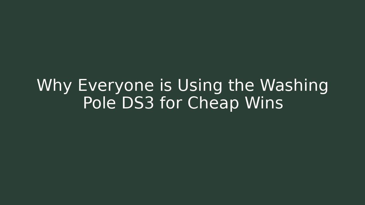 Why Everyone is Using the Washing Pole DS3 for Cheap Wins