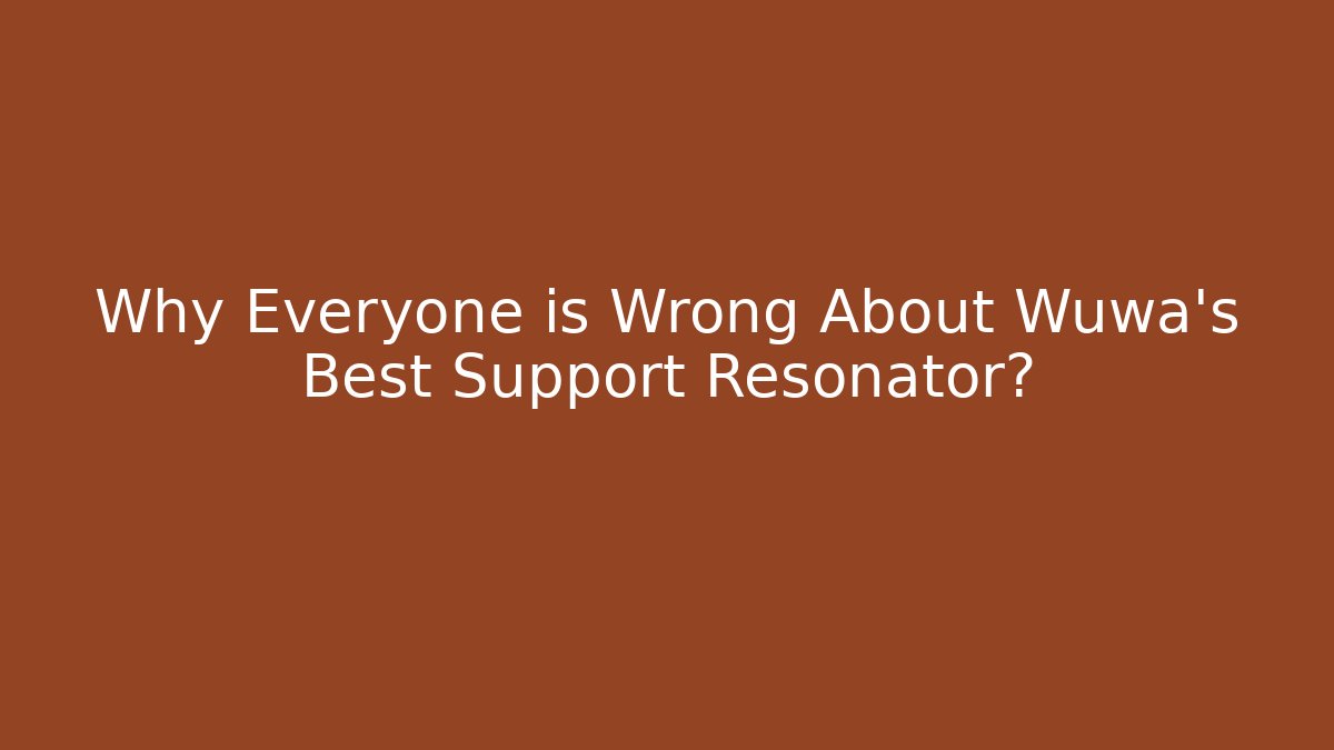 Why Everyone is Wrong About Wuwa's Best Support Resonator?