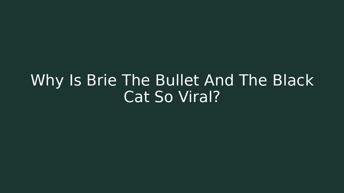 Why Is Brie The Bullet And The Black Cat So Viral?