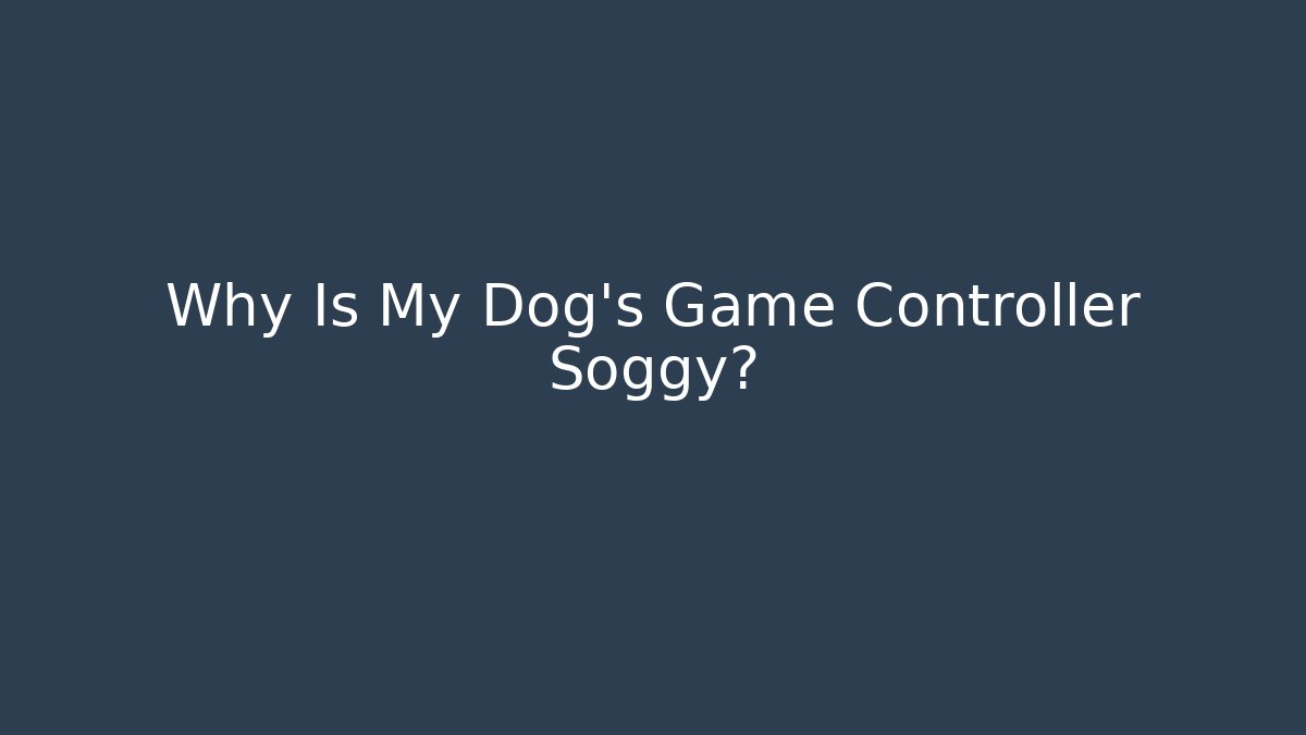 Why Is My Dog's Game Controller Soggy?