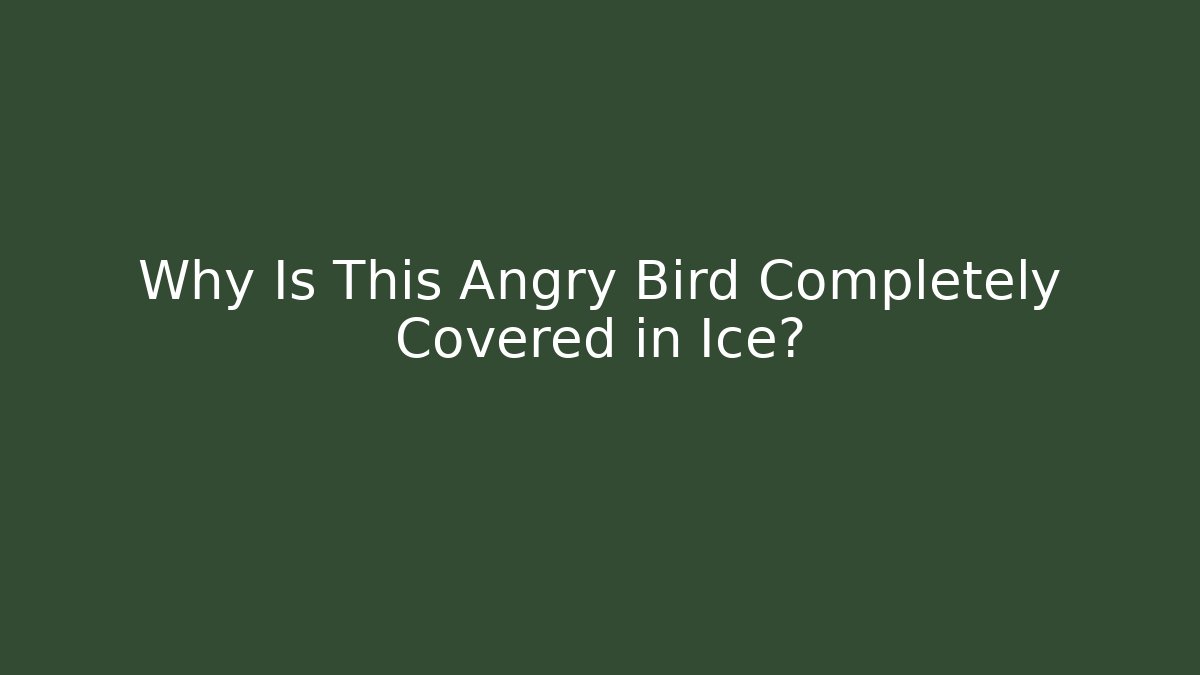 Why Is This Angry Bird Completely Covered in Ice?