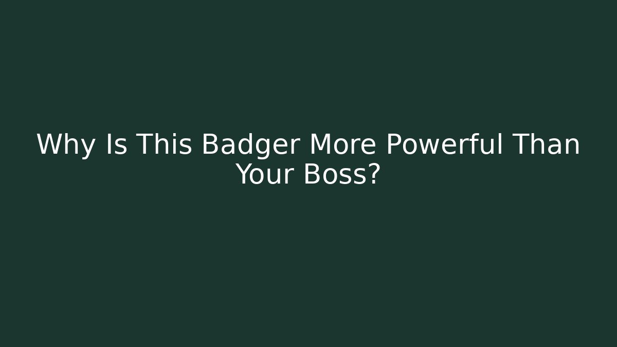 Why Is This Badger More Powerful Than Your Boss?