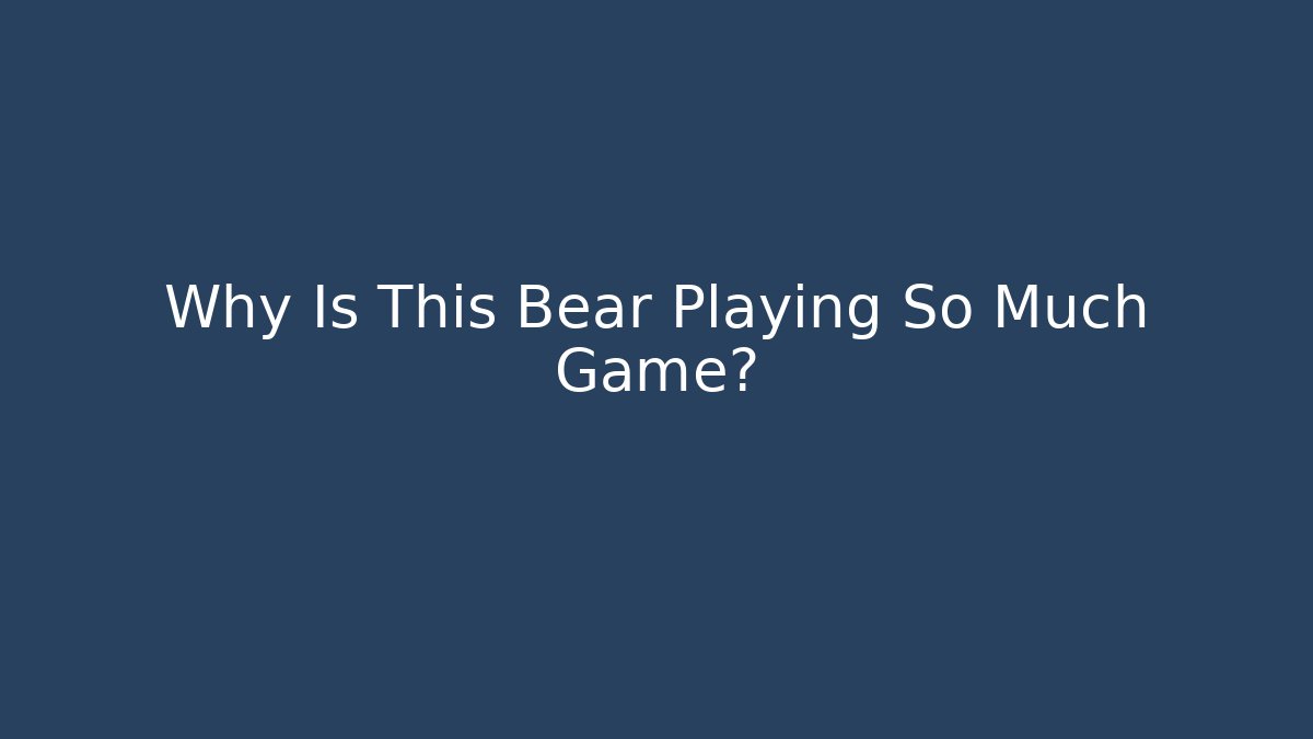 Why Is This Bear Playing So Much Game?