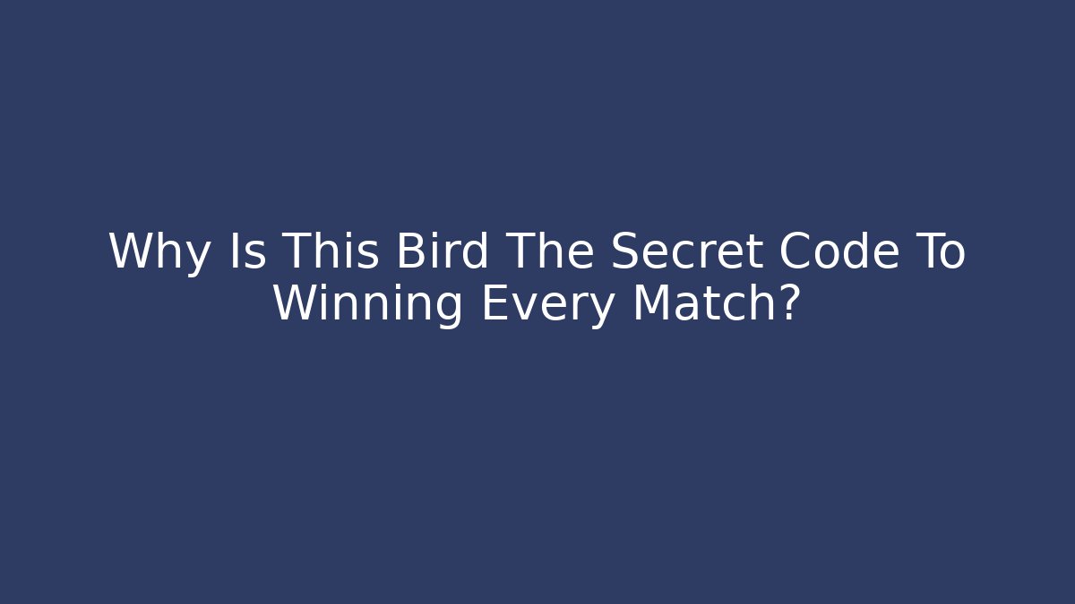 Why Is This Bird The Secret Code To Winning Every Match?