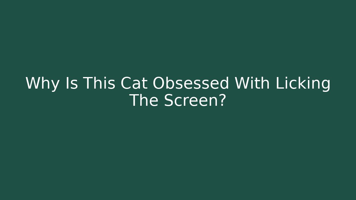Why Is This Cat Obsessed With Licking The Screen?